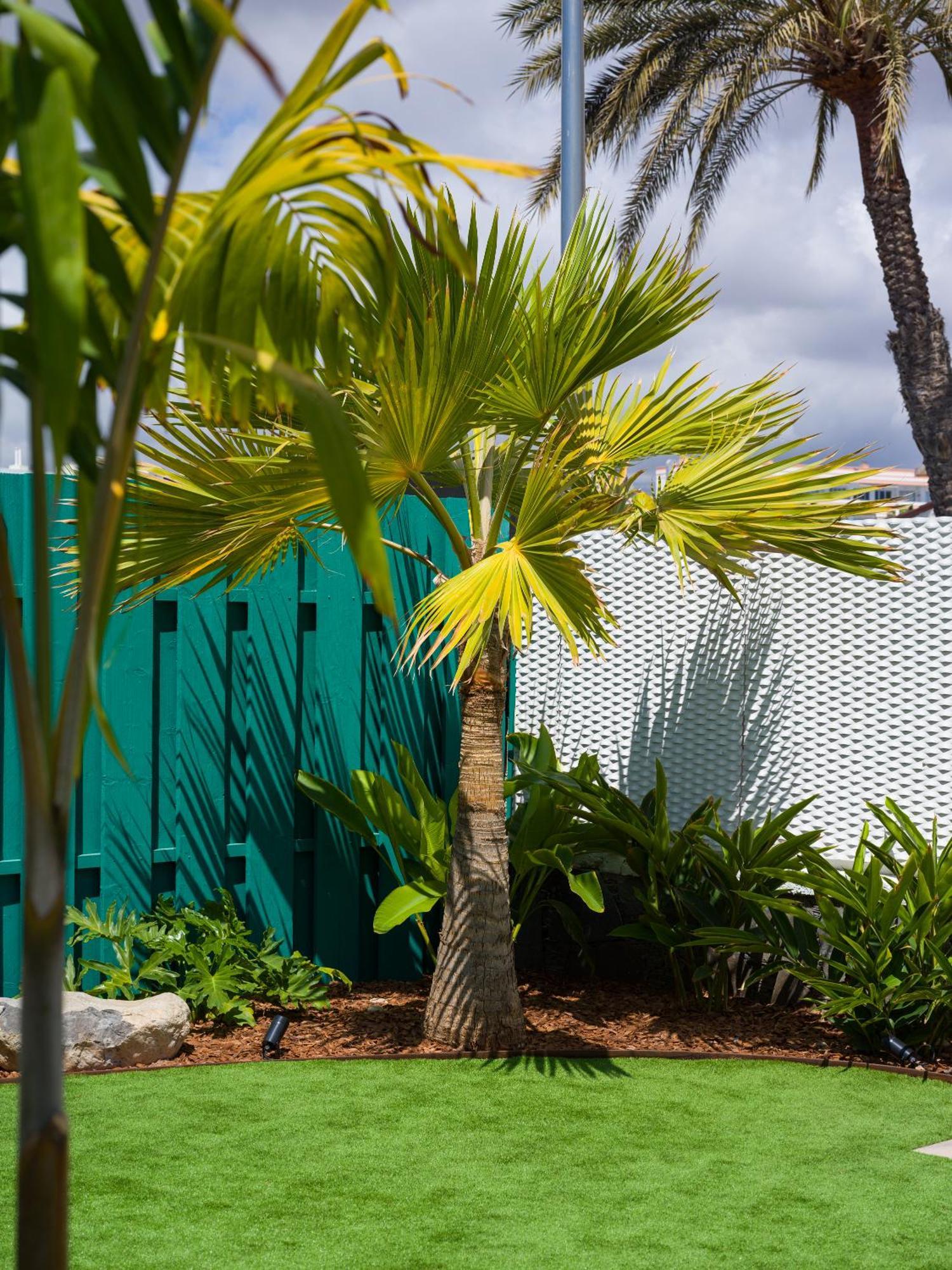 Miami Queens Villa With Private Pool By Tenpropertiesgc San Bartolomé Eksteriør bilde